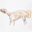 Naimi Sheep