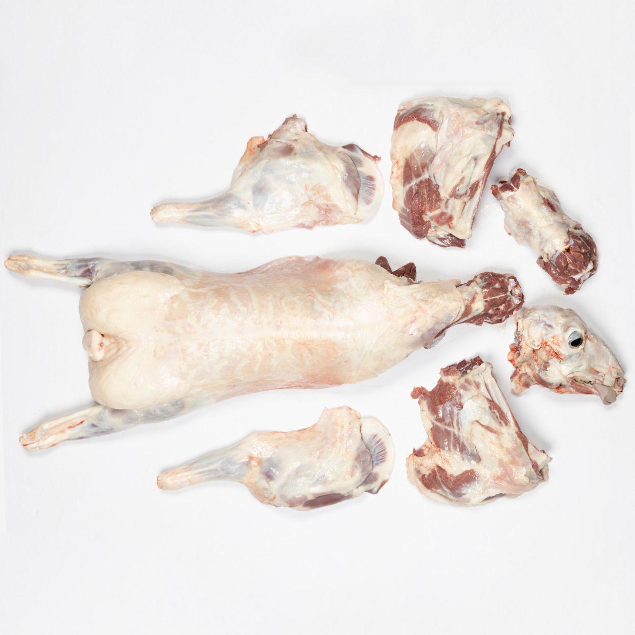 Naimi Sheep